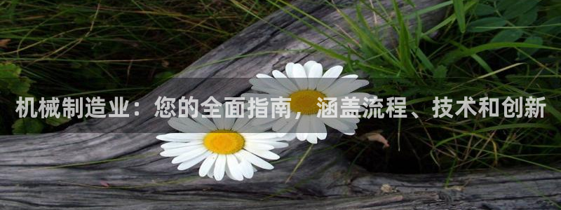 彩神VI首页：机械制造业：您的全面指南，涵盖流程、技术和创新