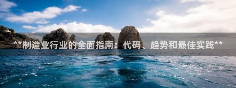 彩神iv争霸购彩大厅：**制造业行业的全面指南：代码、趋势和