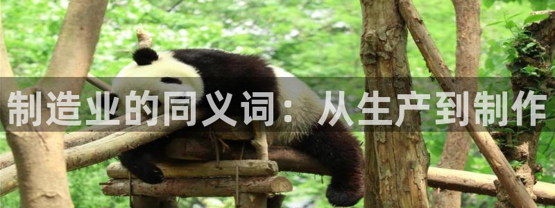 彩神ii官方网：制造业的同义词：从生产到制作