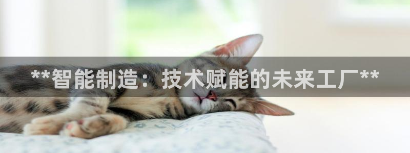 彩神客服电话：**智能制造：技术赋能的未来工厂**