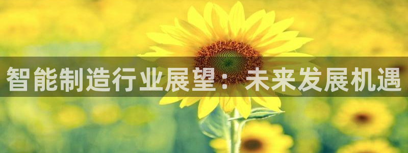 彩神v8是一个什么平台啊：智能制造行业展望：未来发展机遇