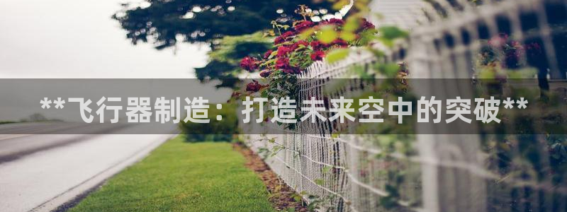 彩神v8购彩大厅登：**飞行器制造：打造未来空中的突破**
