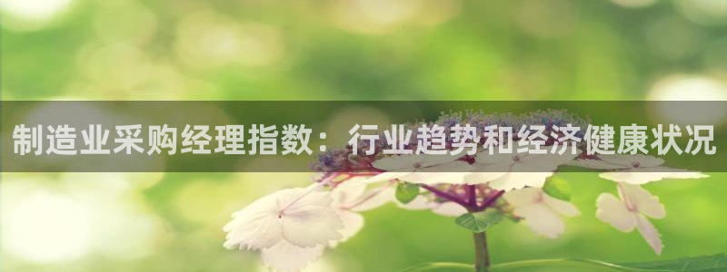 彩神8是正规平台吗安全吗：制造业采购经理指数：行业趋势和经济健康状况