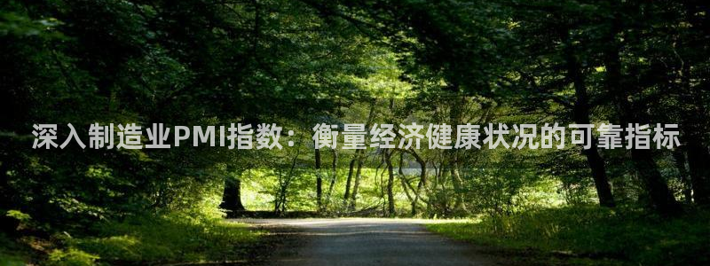 彩神vi官网版：深入制造业PMI指数：衡量经济健康状况的可靠指标