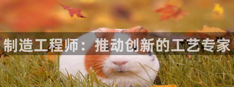 彩神是正规平台吗安全吗：制造工程师：推动创新的工艺专家