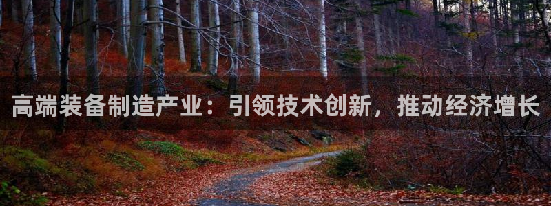 彩神8彩平台客服：高端装备制造产业：引领技术创新，推动经济增长