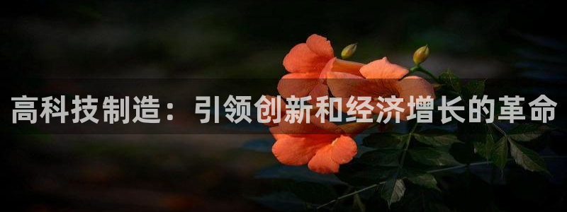 彩神到底能不能赚钱：高科技制造：引领创新和经济增长的革命
