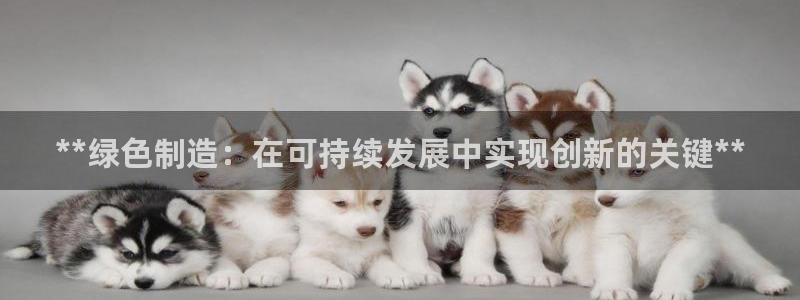 彩神iv能赚钱吗：**绿色制造：在可持续发展中实现创新的关键**