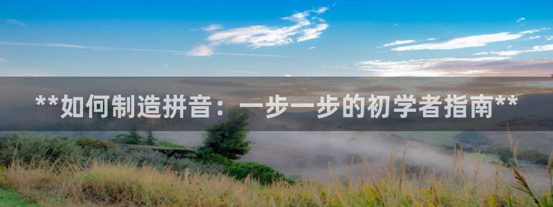 彩神vll官网-最新版app下载：**如何制造拼音：一步一步的初学者指南**