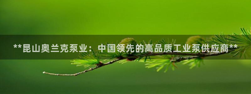 彩神平台可以破解吗：**昆山奥兰克泵业：中国领先的高品质工业泵供应商**