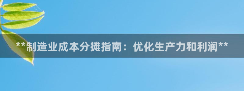 彩神VII购彩中心：**制造业成本分摊指南：优化生产力和利润**