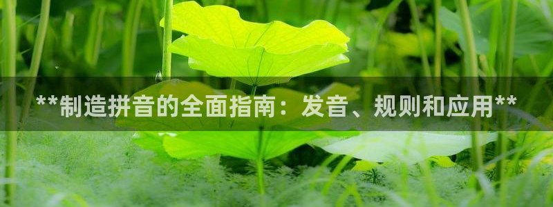 彩神v8首页
