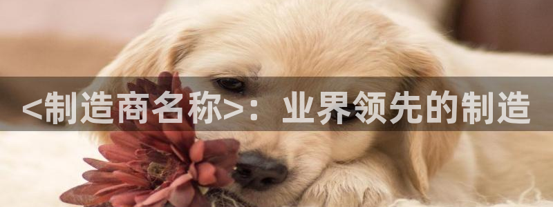 彩神vii手游下载：<制造商名称>：业界领先的制造