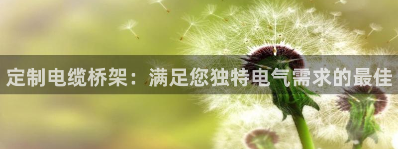彩神大发cp：定制电缆桥架：满足您独特电气需求的最佳
