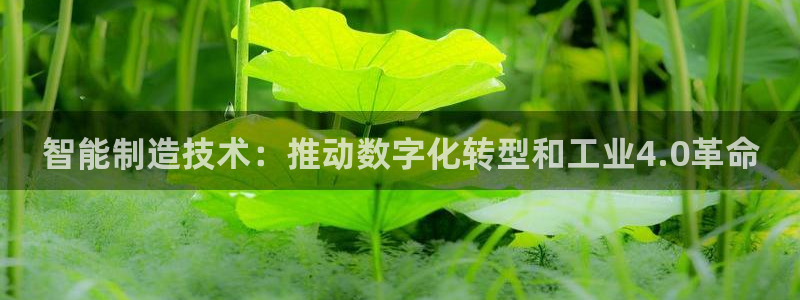 彩神v8下载app5.0：智能制造技术：推动数字化转型和工业4.0革命