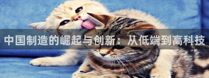 彩神正规吗：中国制造的崛起与创新：从低端到高科技