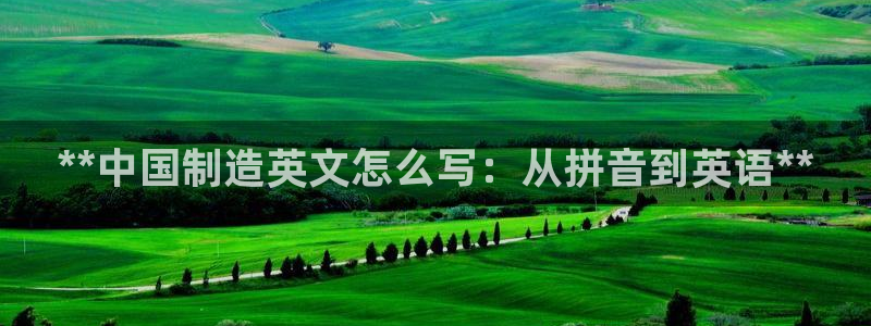 彩神x平台靠什么盈利：**中国制造英文怎么写：从拼音到英语**