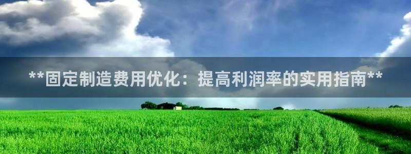 彩神8是正规平台吗安全吗：**固定制造费用优化：提高利润率的实用指南**