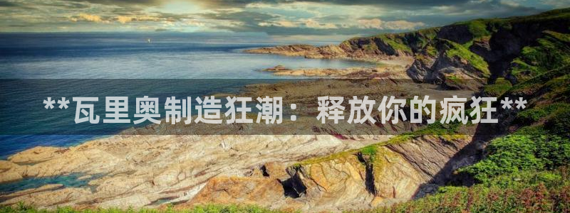 彩神大发三期计划网站：**瓦里奥制造狂潮：释放你的疯狂**