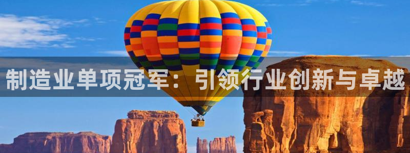 彩神8最新版下载：制造业单项冠军：引领行业创新与卓越