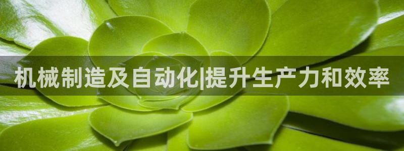 彩神v8是真的挣钱吗：机械制造及自动化|提升生产力和效率