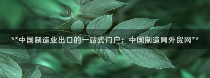 彩神vll趣投彩：**中国制造业出口的一站式门户：中国制造网外贸网**