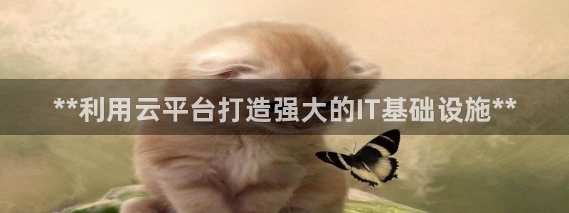 彩神V3大赢家