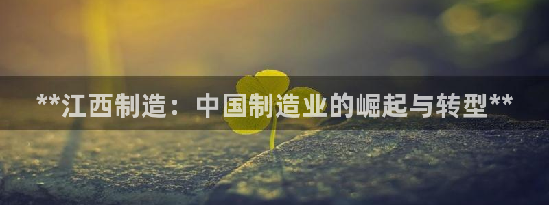 彩神赢的钱是哪里来的：**江西制造：中国制造业的崛起与转型**