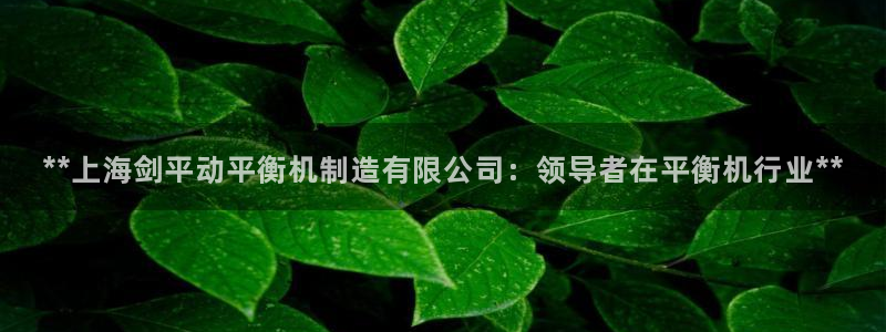 彩神vii官网：**上海剑平动平衡机制造有限公司：领导者在平