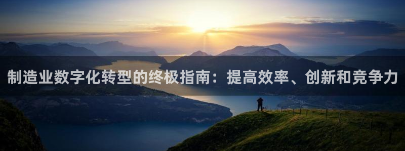 彩神广告有限公司：制造业数字化转型的终极指南：提高效率、创新