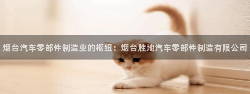彩神数码科技有限公司：烟台汽车零部件制造业的枢纽：烟台胜地汽车零部件制造有限公司