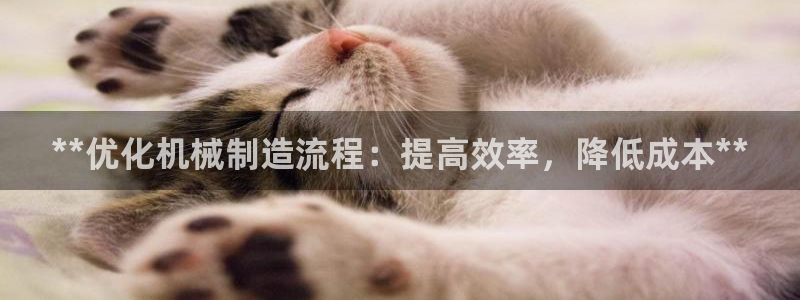 彩神vl官网：**优化机械制造流程：提高效率，降低成本**
