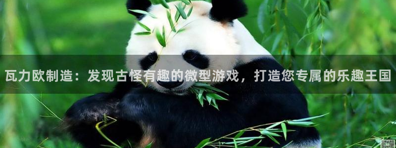 彩神vlll官方网：瓦力欧制造：发现古怪有趣的微型游戏，打造您专属的乐趣王国