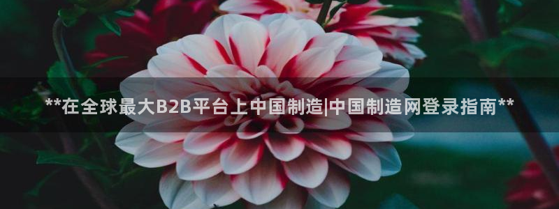 彩神vii官网大赢家：**在全球最大B2B平台上中国制造|中国制造网登录指南**