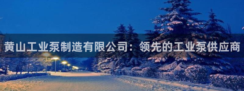 彩神VI首页：黄山工业泵制造有限公司：领先的工业泵供应商