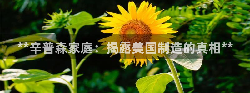 彩神大发三期计划网站：**辛普森家庭：揭露美国制造的真相**