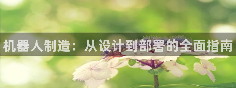 彩神v8客户端：机器人制造：从设计到部署的全面指南