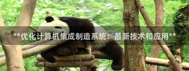 彩神旗下有哪些平台可以看：**优化计算机集成制造系统：最新技术和应用**