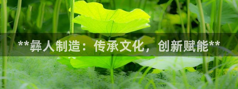 彩神通官网下载：**彝人制造：传承文化，创新赋能**
