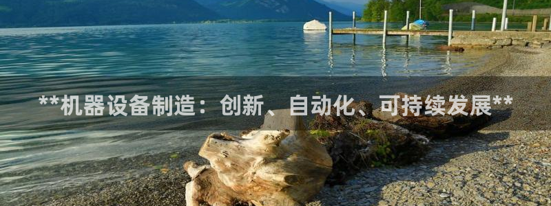彩神v8iii：**机器设备制造：创新、自动化、可持续发展**