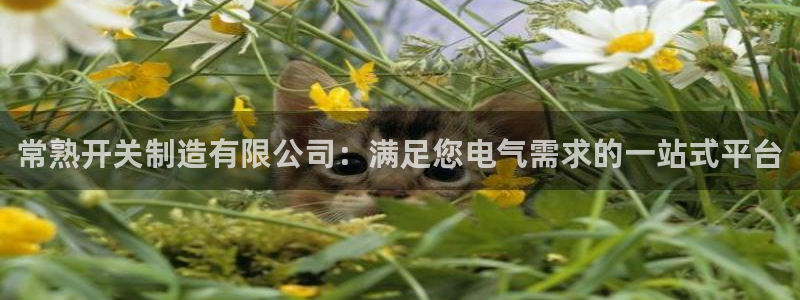 彩神vll官网在线登录：常熟开关制造有限公司：满足您电气需求的一站式平台