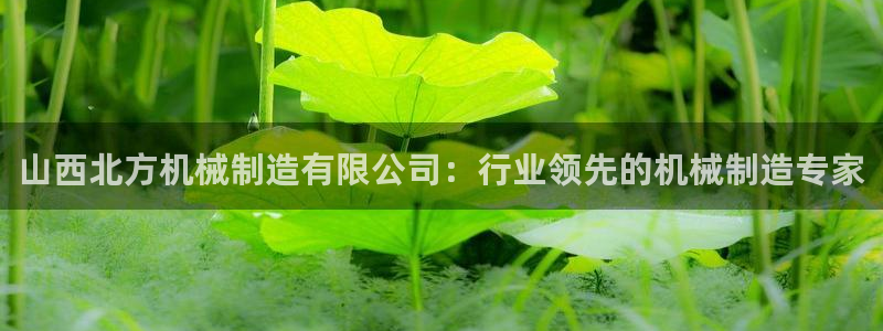 彩神是正规平台吗是真的吗：山西北方机械制造有限公司：行业领先