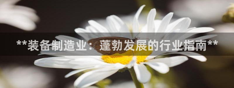 彩神velcome购彩大厅：**装备制造业：蓬勃发展的行业指南**