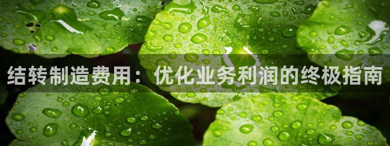 彩神v8下载：结转制造费用：优化业务利润的终极指南