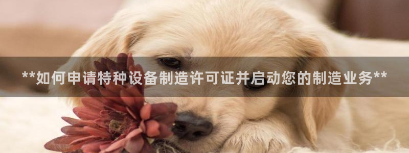 彩神平台之间是什么关系：**如何申请特种设备制造许可证并启动您的制造业务**