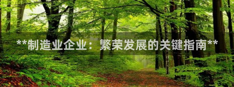彩神网官网登录：**制造业企业：繁荣发展的关键指南**