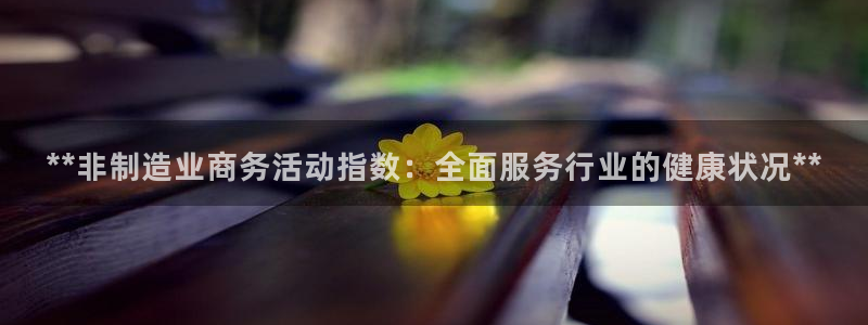 彩神8软件下载：**非制造业商务活动指数：全面服务行业的健康状况**