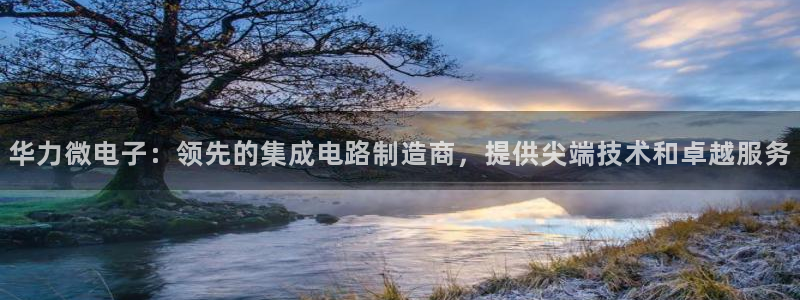 彩神8app官方下载：华力微电子：领先的集成电路制造商，提供尖端技术和卓越服务