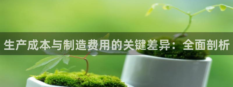 彩神v8客户端：生产成本与制造费用的关键差异：全面剖析