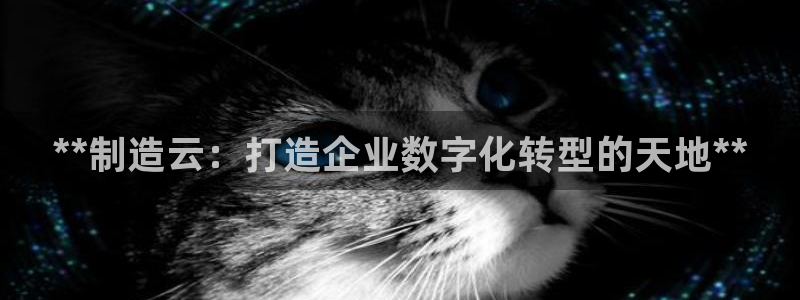 彩神ll能赚钱吗：**制造云：打造企业数字化转型的天地**